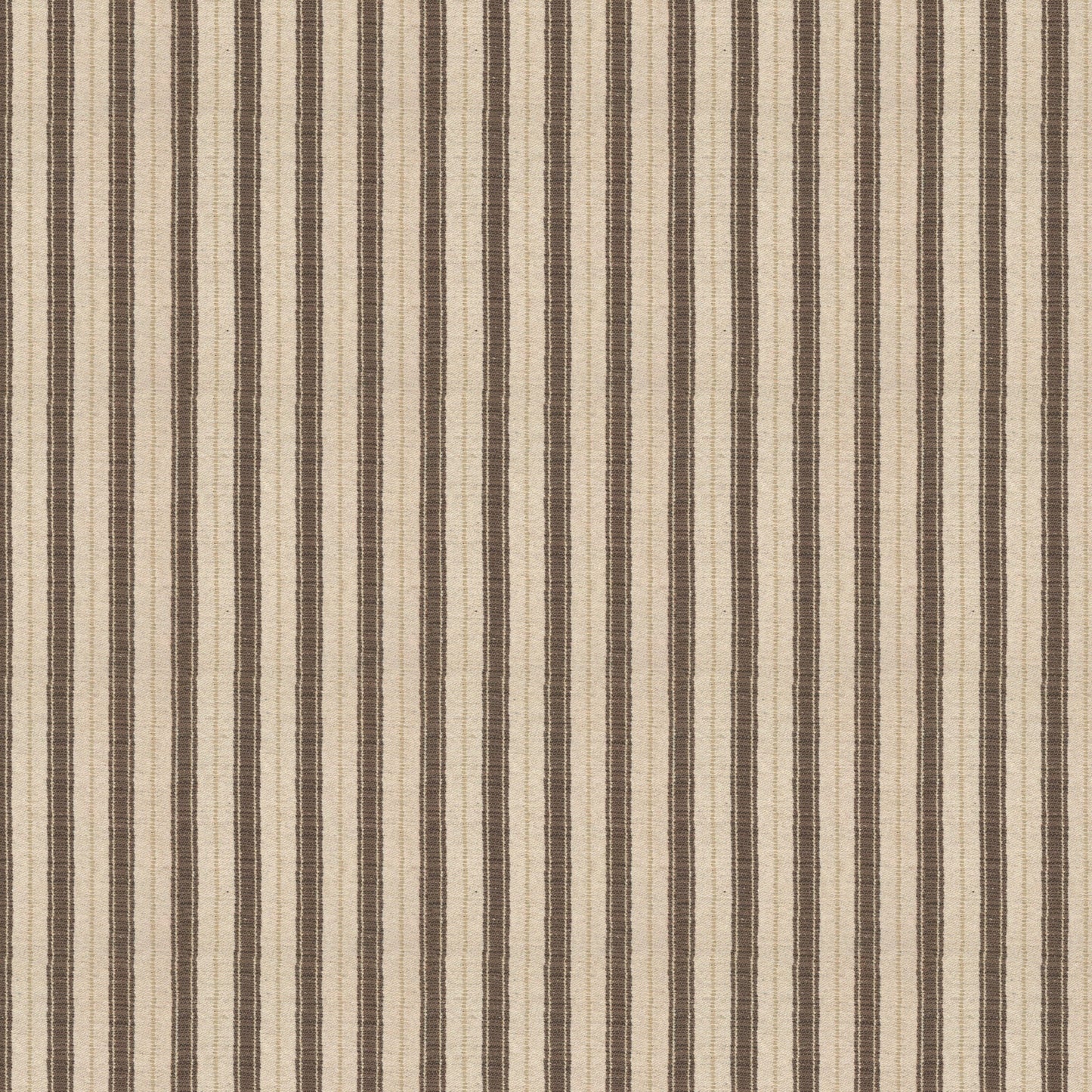 Sketched Stripe Mushroom Sample