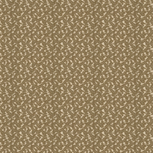 Tulkan Mustard Sample