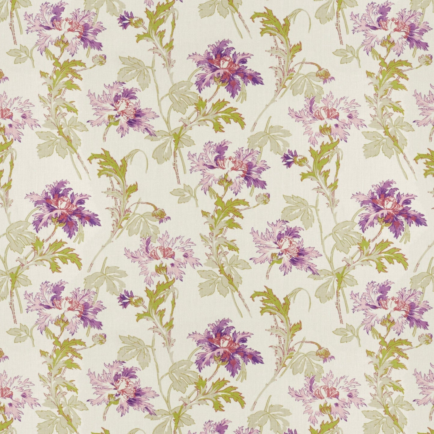 Ella May Cotton Sample