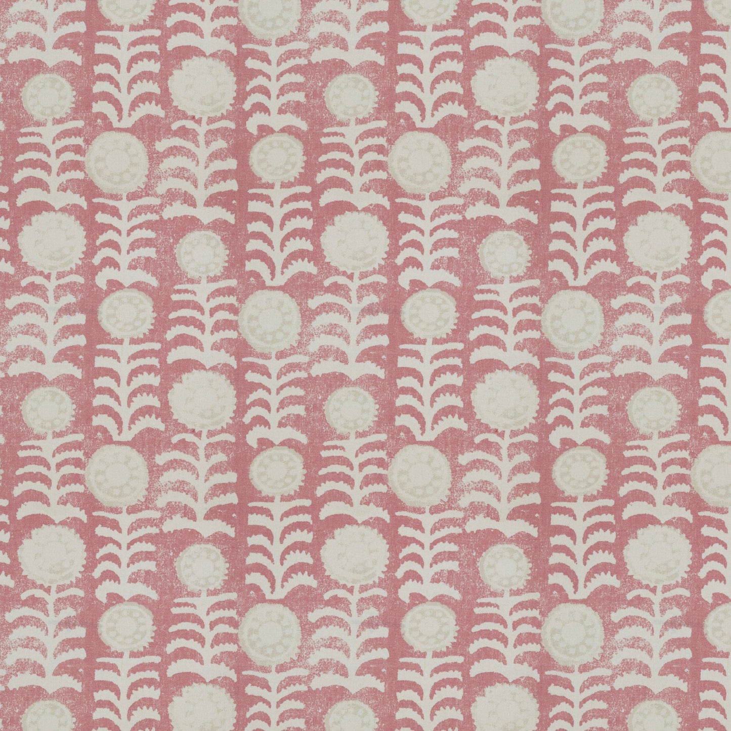 Killi Pink Sample