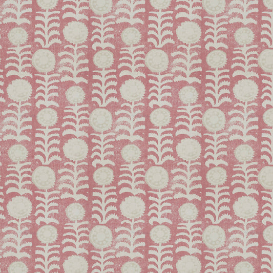 Killi Pink Sample
