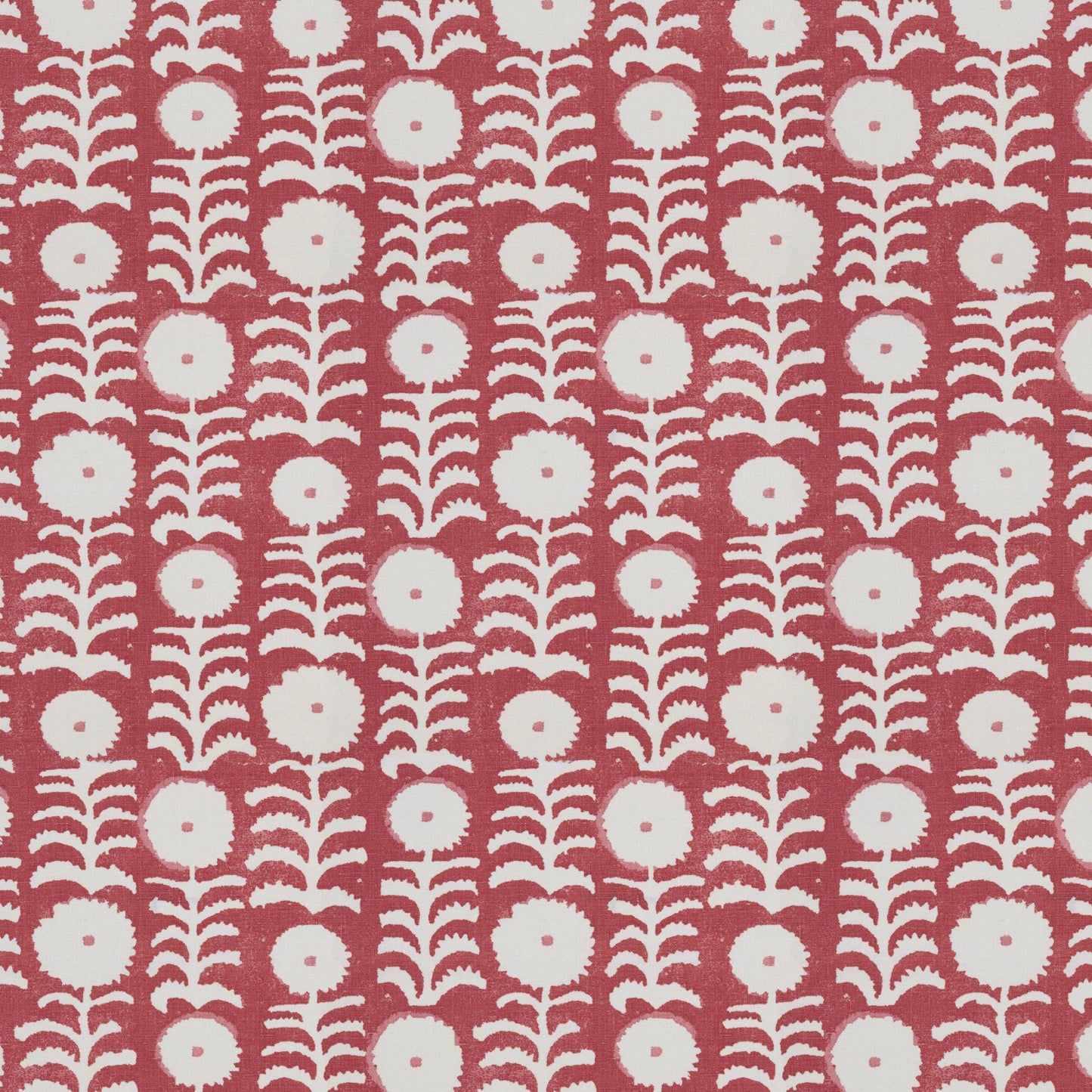 Killi Red Sample