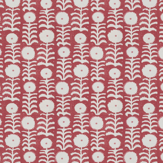 Killi Red Sample