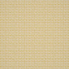 Ashok Yellow Fabric