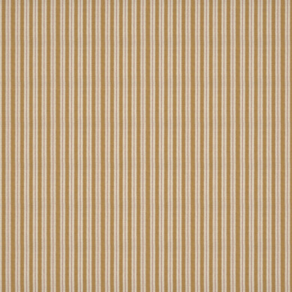 Sketched Stripe Gold Fabric